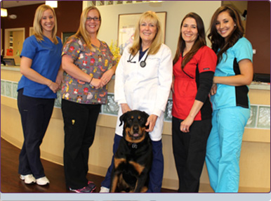 Colorado Springs, CO Animal Hospital. Veterinary Clinic for Dogs and Cats  in Colorado Springs. Veterinary Services and Pet Health. Colorado Springs  Pet Surgery and Dentistry.