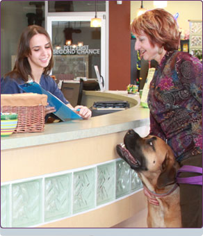 Colorado Springs, CO Animal Hospital. Veterinary Clinic for Dogs and Cats  in Colorado Springs. Veterinary Services and Pet Health. Colorado Springs  Pet Surgery and Dentistry.
